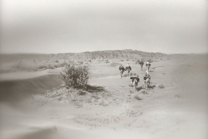 Zayed National Museum