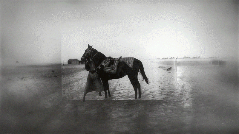Zayed National Museum